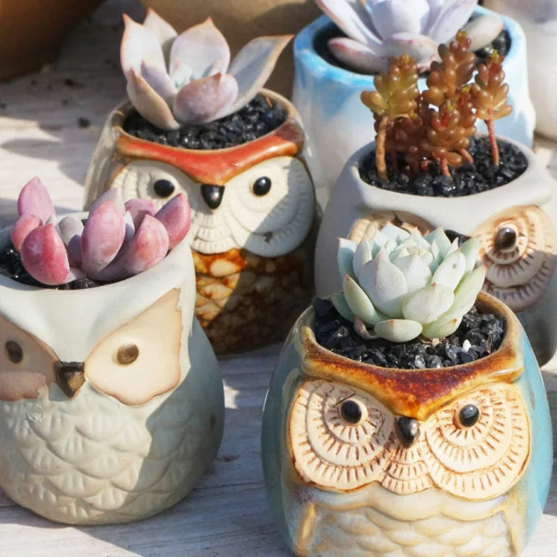 Owl Ceramic Succulent Mini Planter