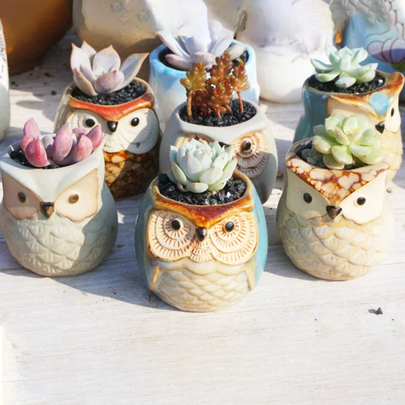 Owl Ceramic Succulent Mini Planter