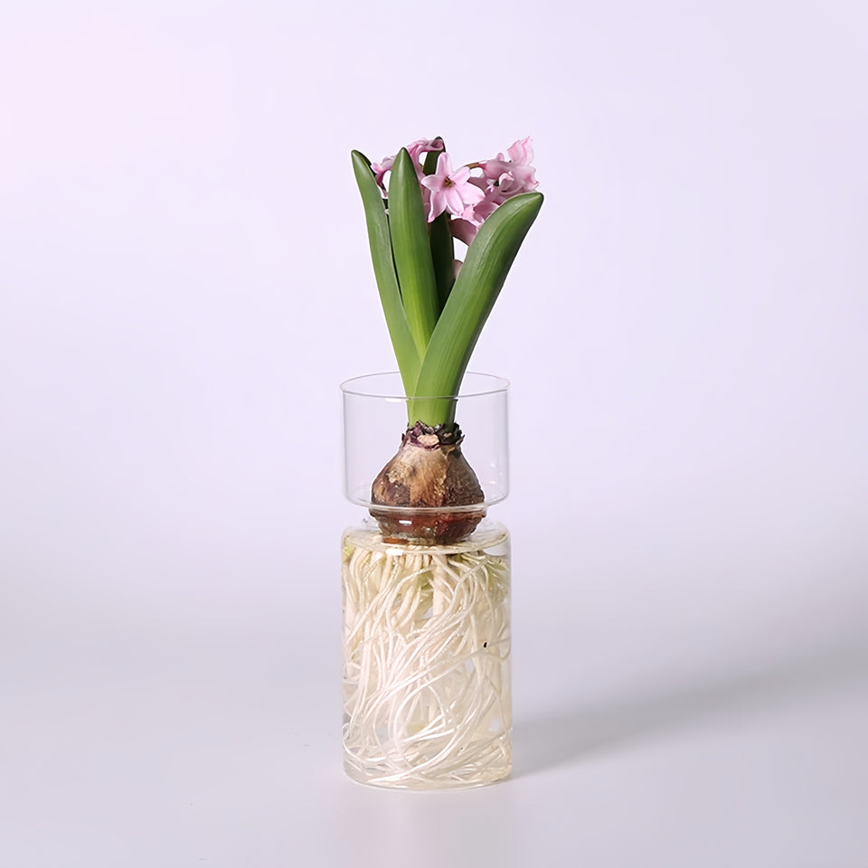 Glass Propagation Vase