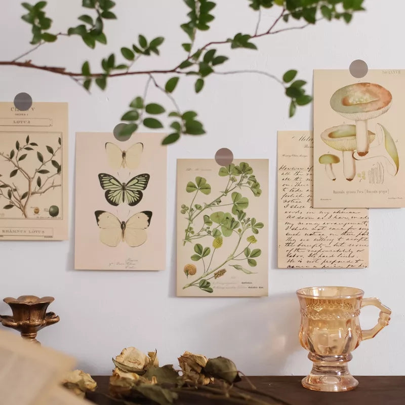 Botanical postcards (30 pcs)