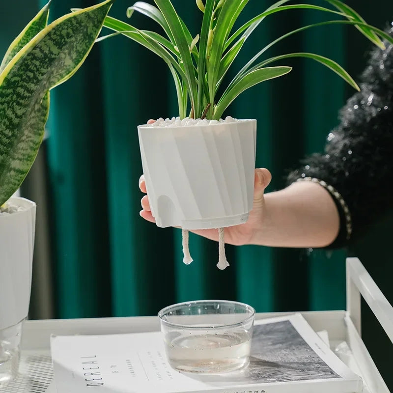 Self Watering Pot