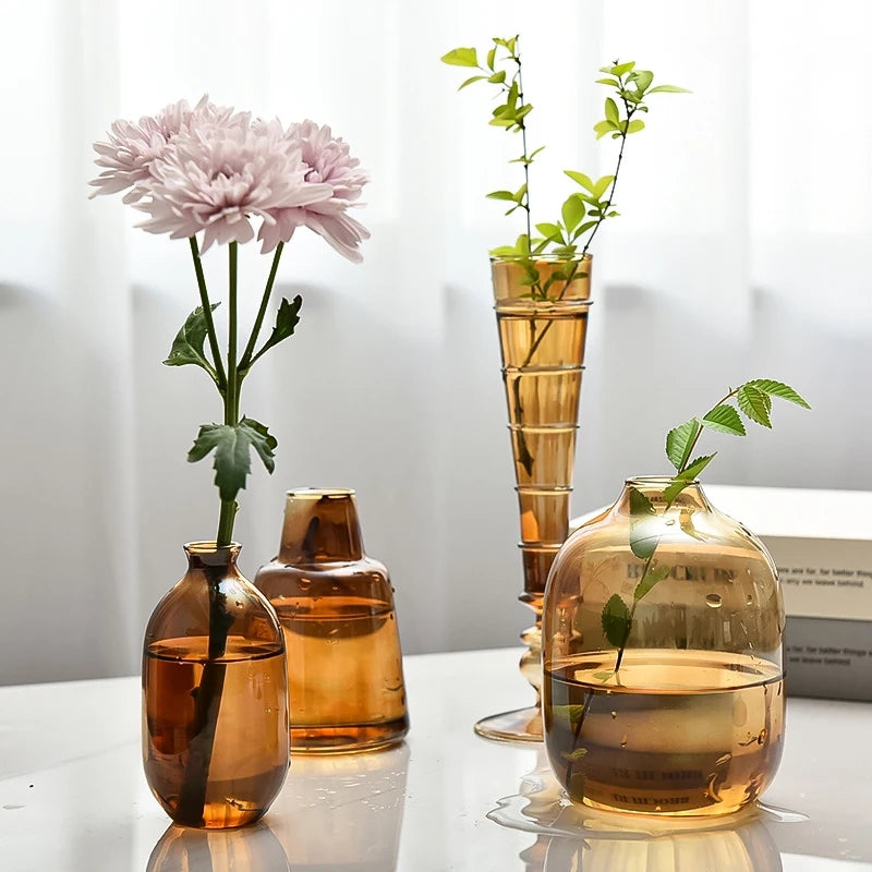 Amber Propagation Vases