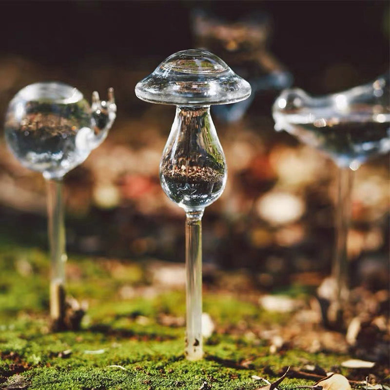 Clear Self-Watering Feeders