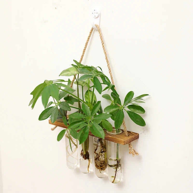 Wall Hanging Propagation Station