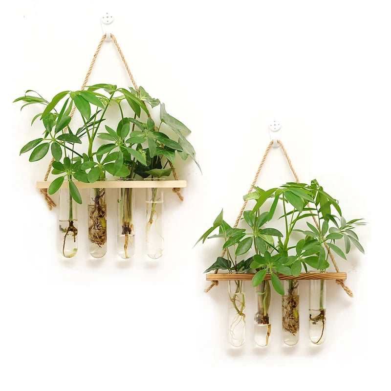 Wall Hanging Propagation Station