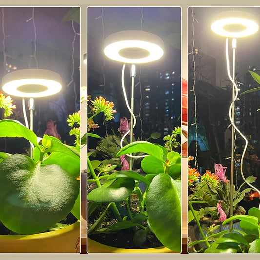 Plant Grow Full Spectrum LED Light