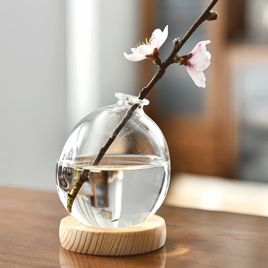 Rotating Propagation Vase With Wooden Base