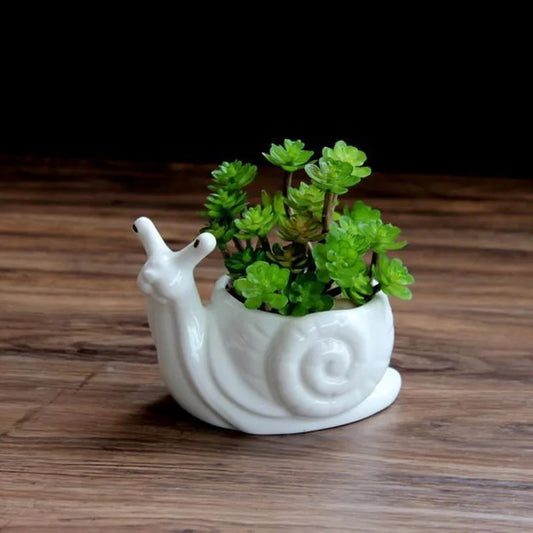 Snail Succulent Planter