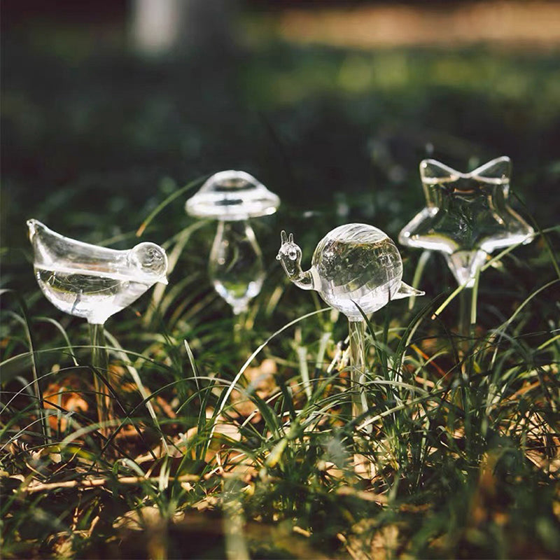 Clear Self-Watering Feeders