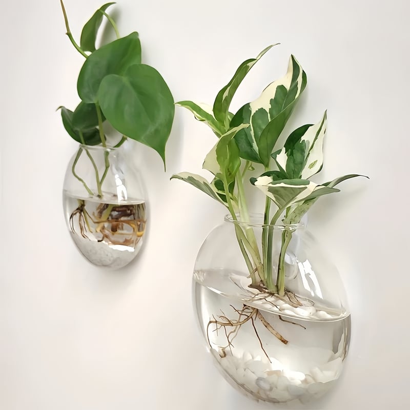 Wall Hanging Propagation Vase