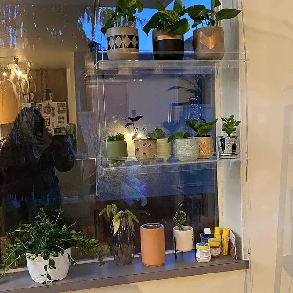 Clear Acrylic Window Plant Shelves