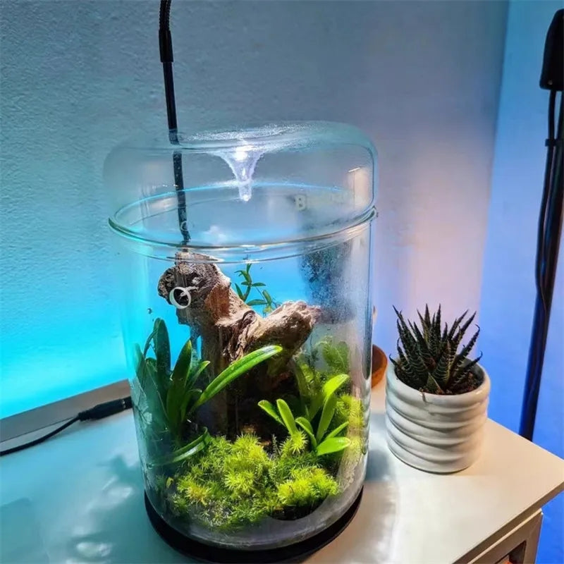 Glass Terrarium