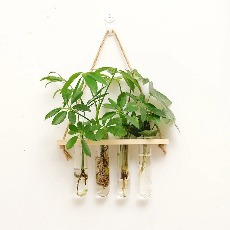 Wall Hanging Propagation Station