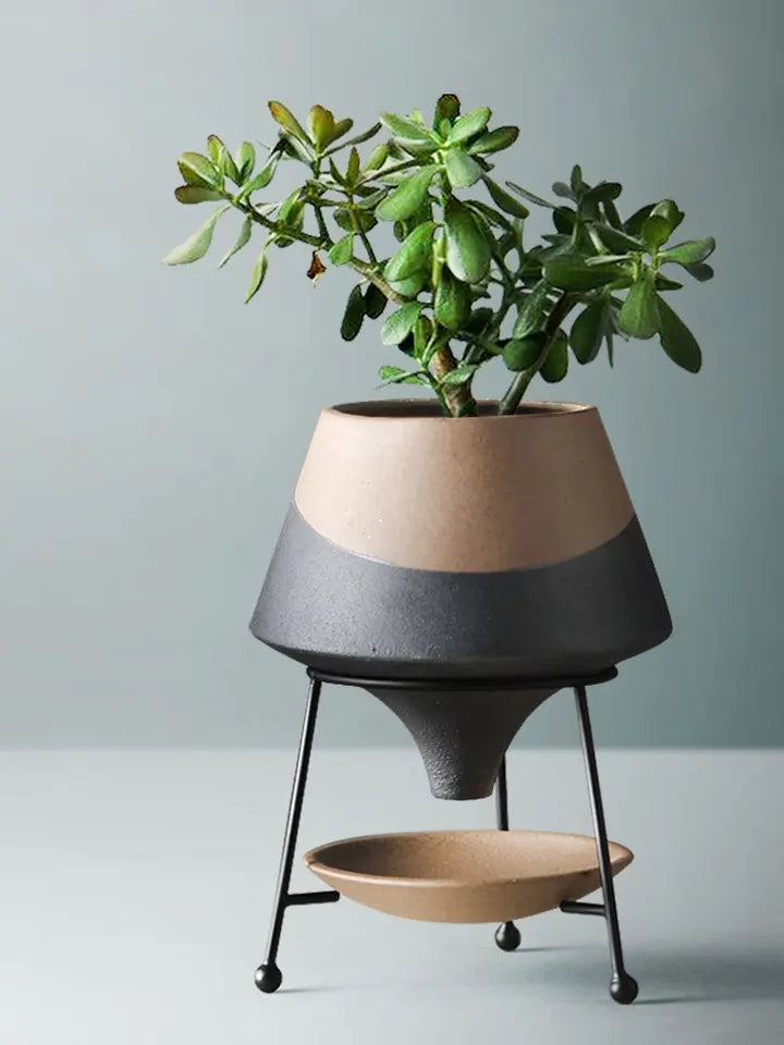 Teardrop Ceramic Pot