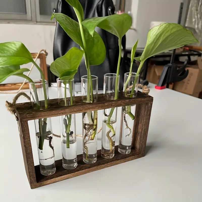 Wall Hanging Propagation Station