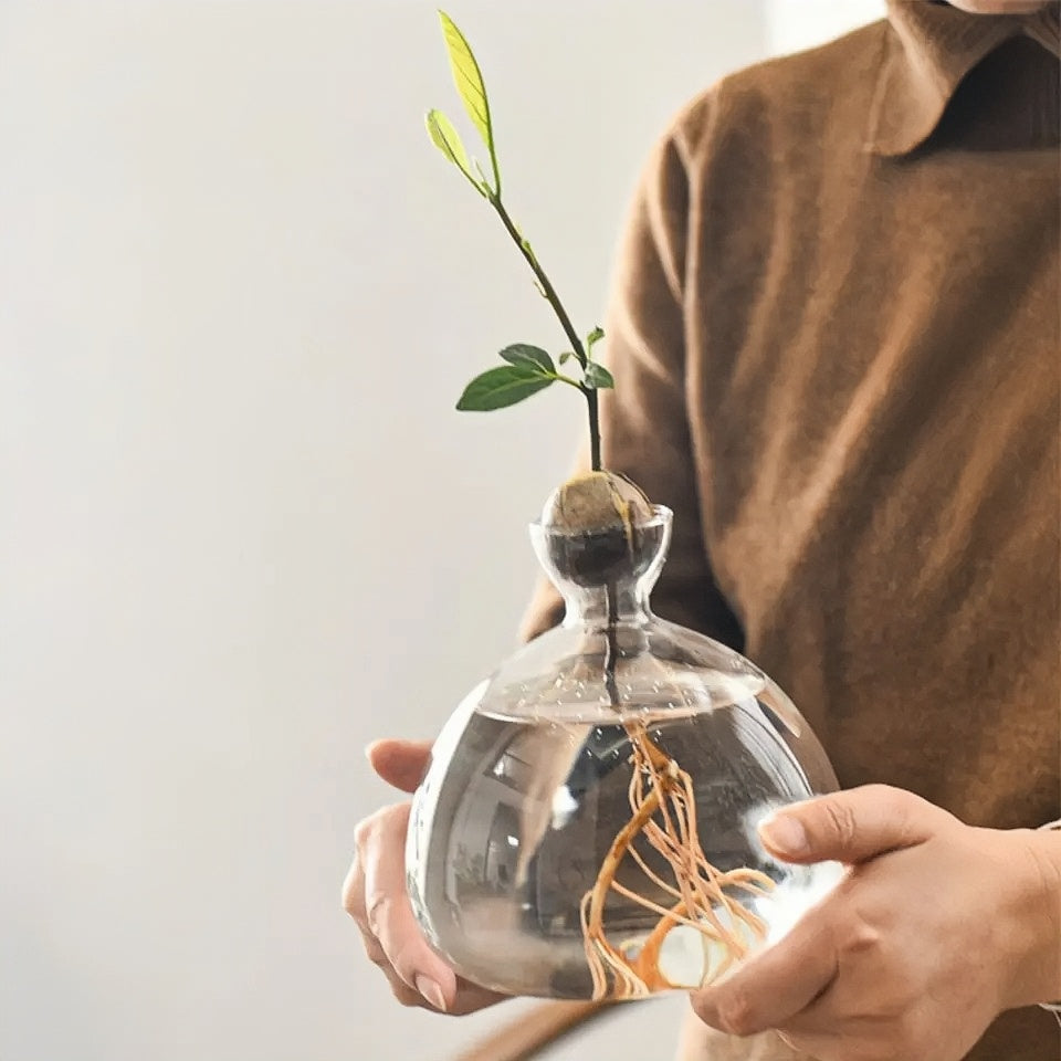 Propagation Vase