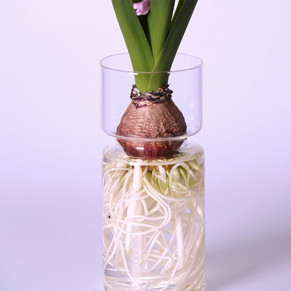 Glass Propagation Vase