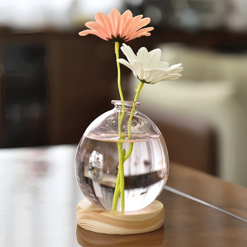 Rotating Propagation Vase With Wooden Base