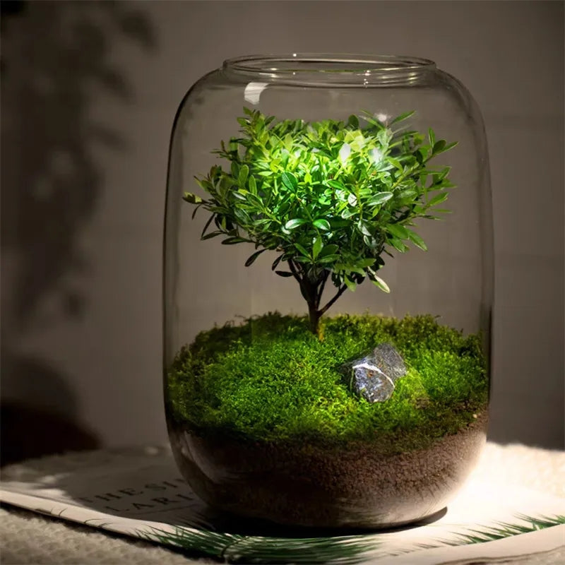 Glass Terrarium