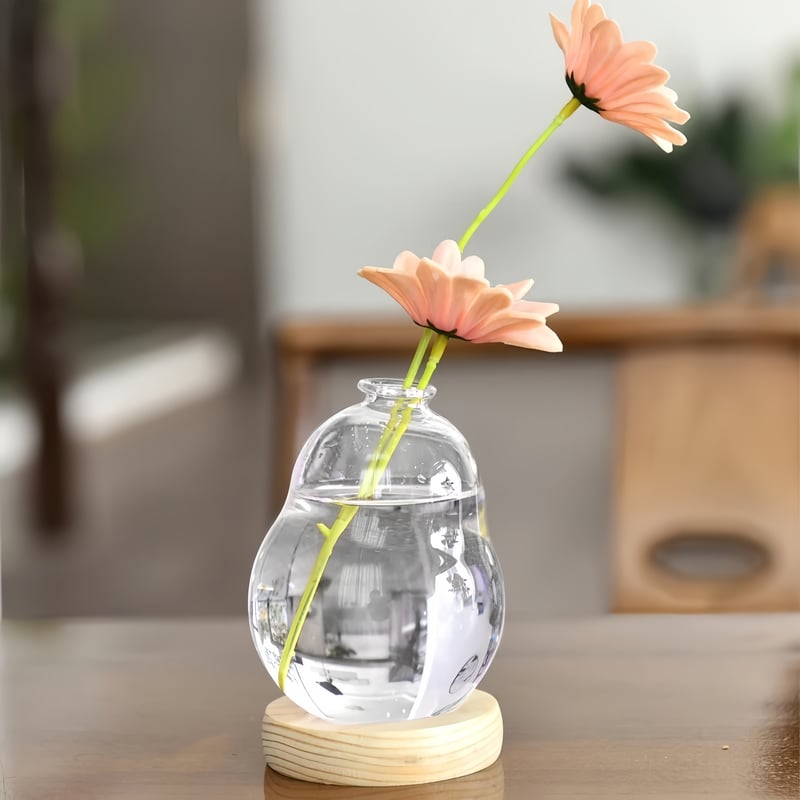 Rotating Propagation Vase With Wooden Base