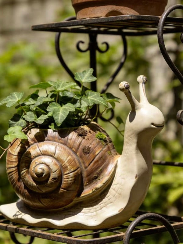 Snail Plant Pot