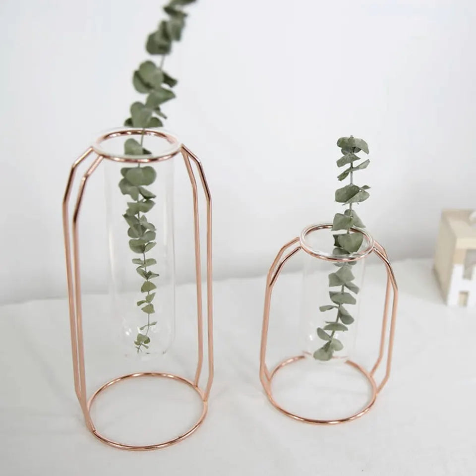 Propagation / Flower Vase