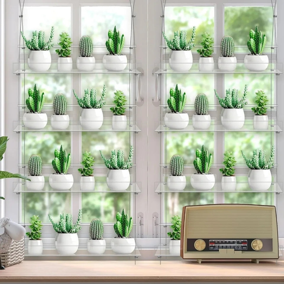 Clear Acrylic Window Plant Shelves (set of 2)