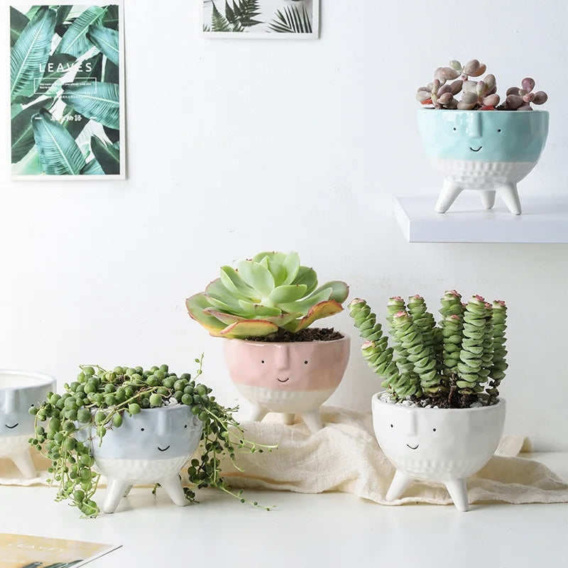 Aesthetic Nordic Succulent Planter