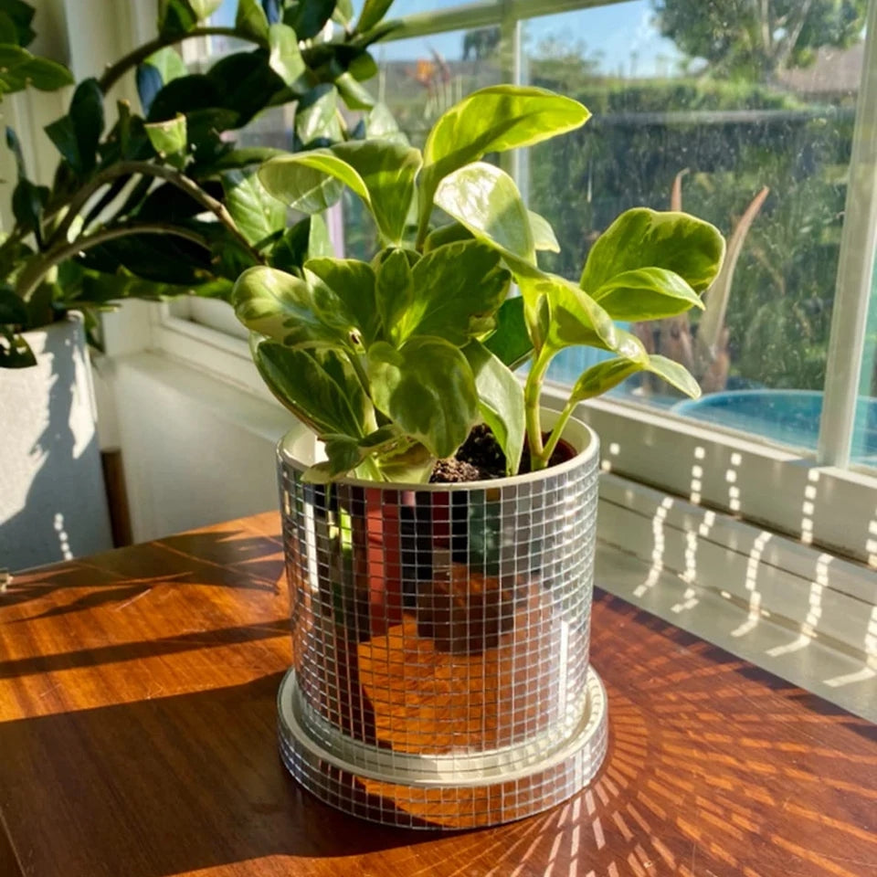 Disco planter