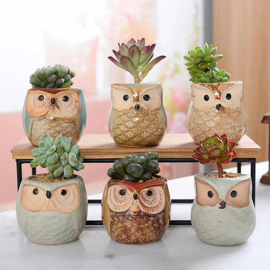 Owl Ceramic Succulent Mini Planter