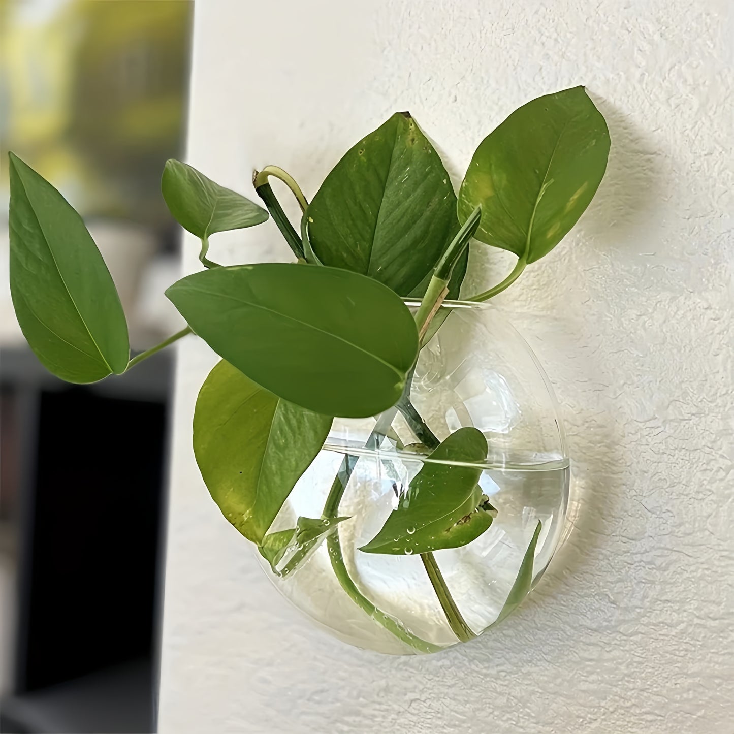 Wall Hanging Propagation Vase