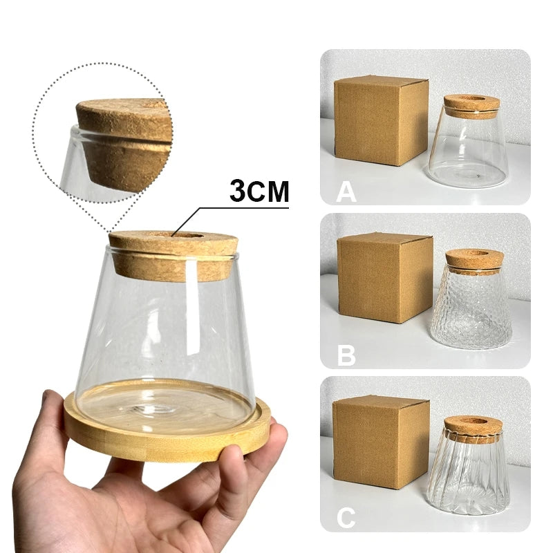 Propagation glass jar + bamboo base