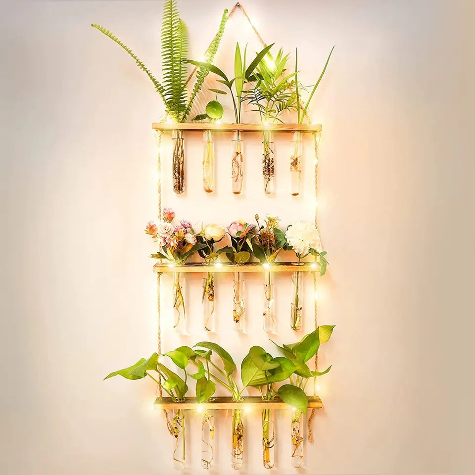 Wall Hanging Propagation Station + free LED Lights 🎁