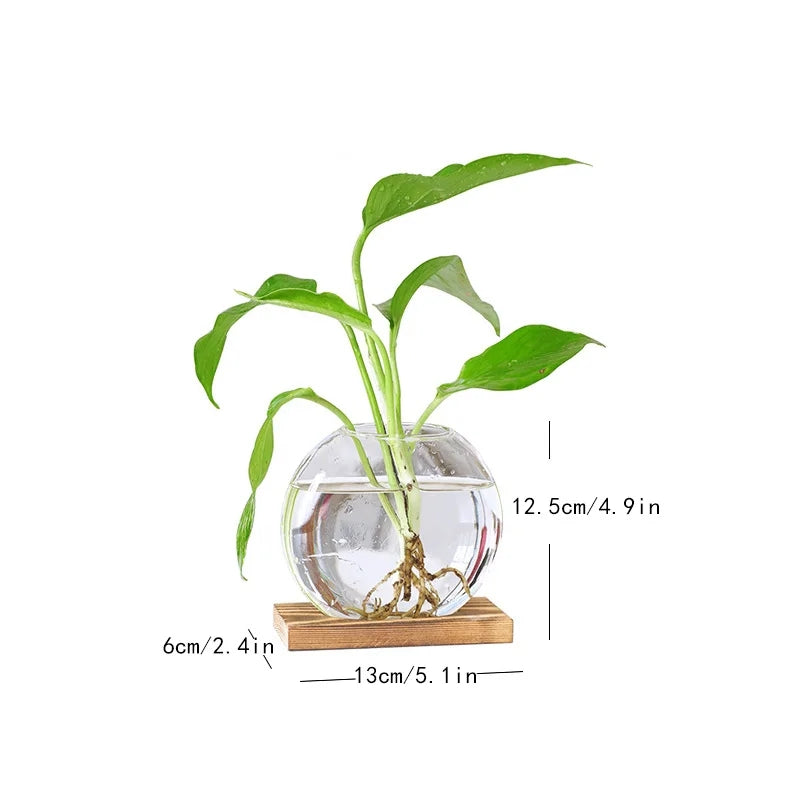 Propagation Vase With Wooden Stand