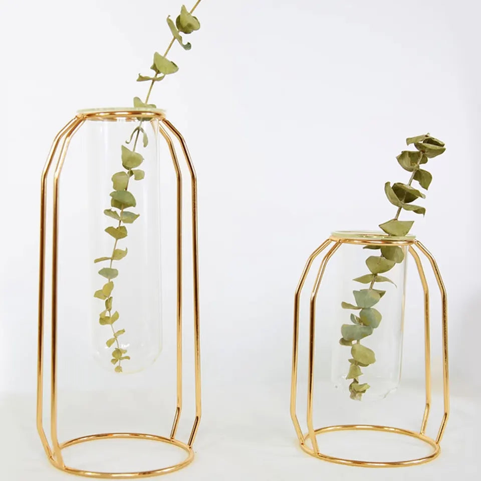 Propagation / Flower Vase