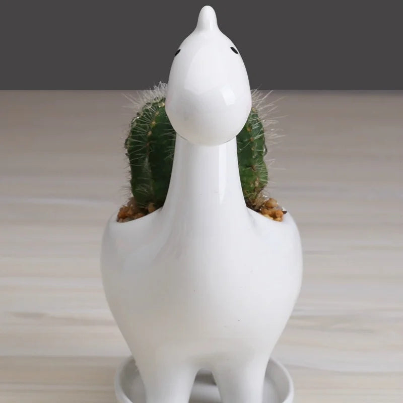 Dino Succulent Ceramic Planter