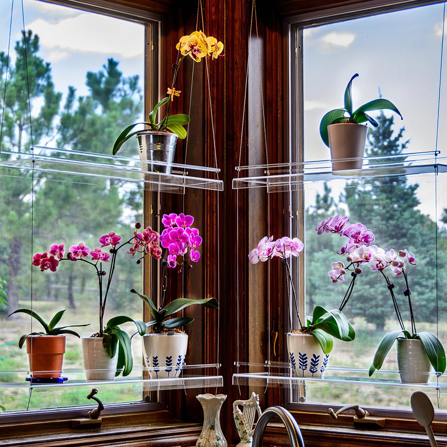 Clear Acrylic Window Plant Shelves