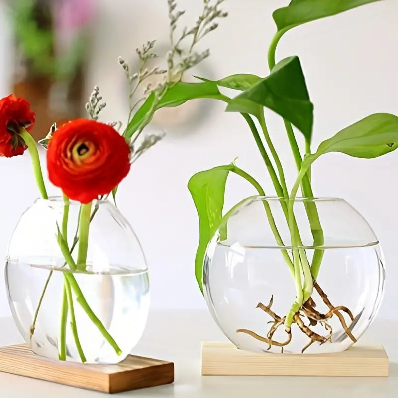 Propagation Vase With Wooden Stand