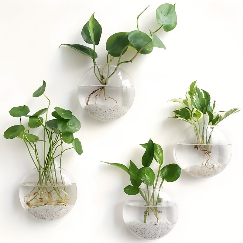 Wall Hanging Propagation Vase