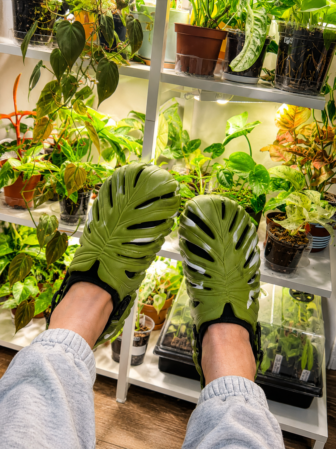 Variegated Monstera Shoes