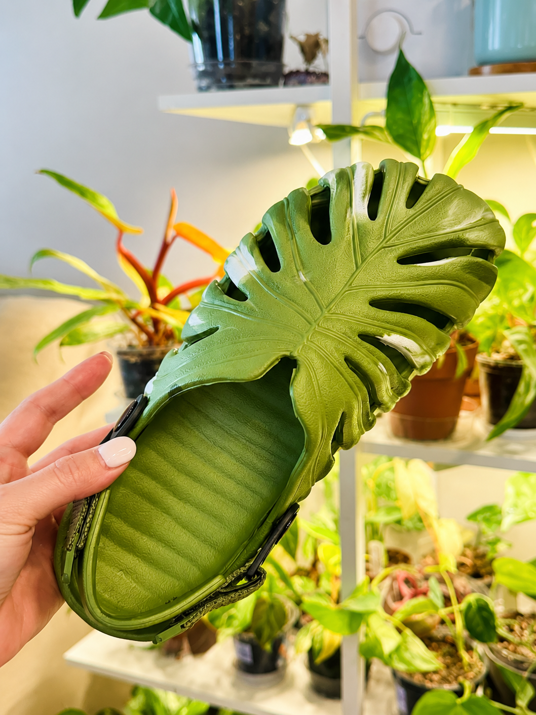 Variegated Monstera Shoes