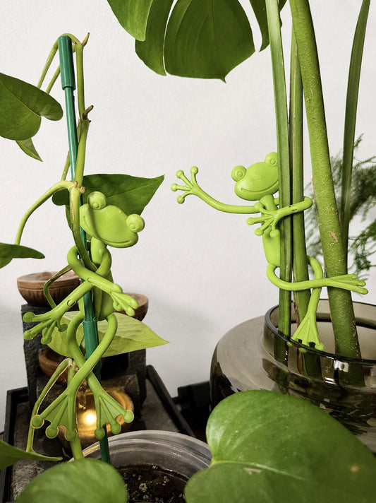 Frog Plant Holders 🐸