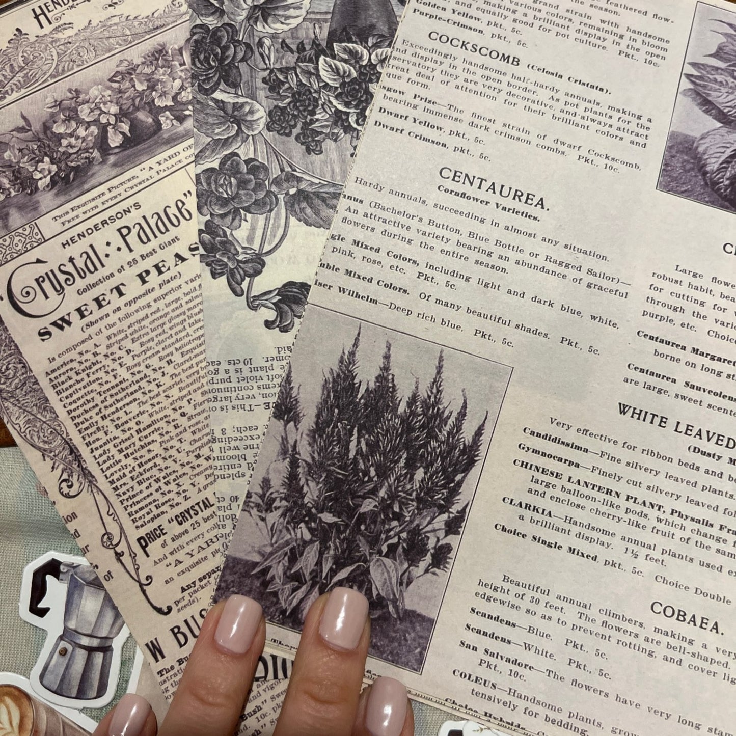 Retro Vintage Botanical Paper Set (30 sheets)