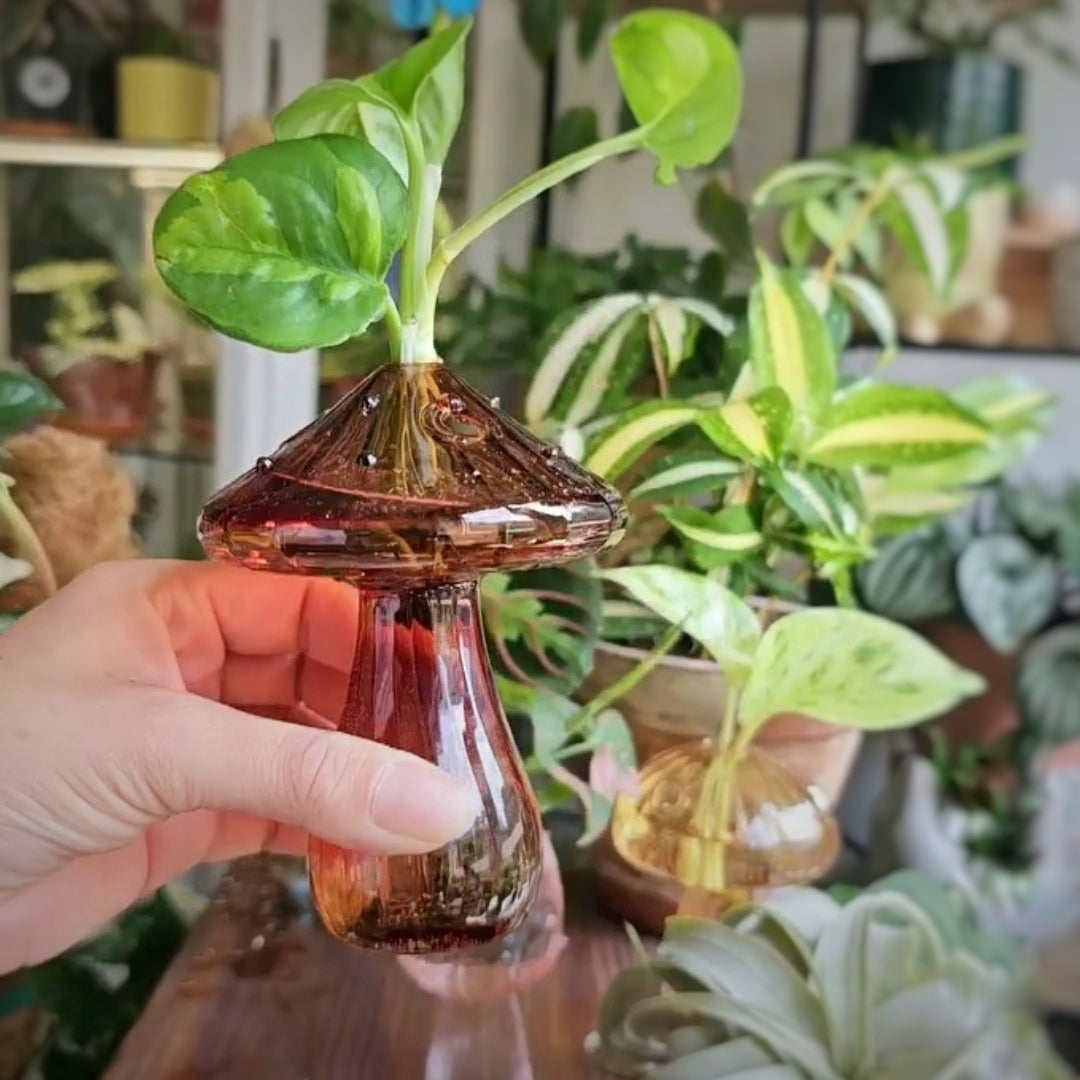 Mushroom glass vases