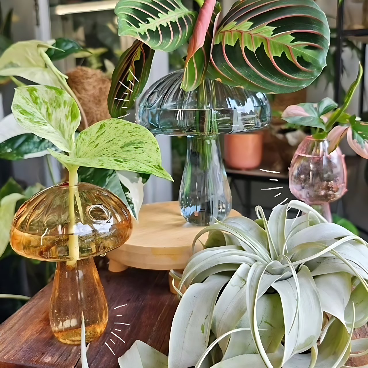 Mushroom glass vases