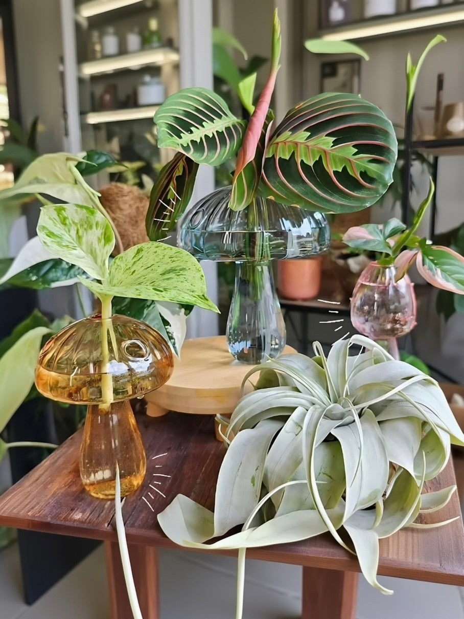 Mushroom glass vases