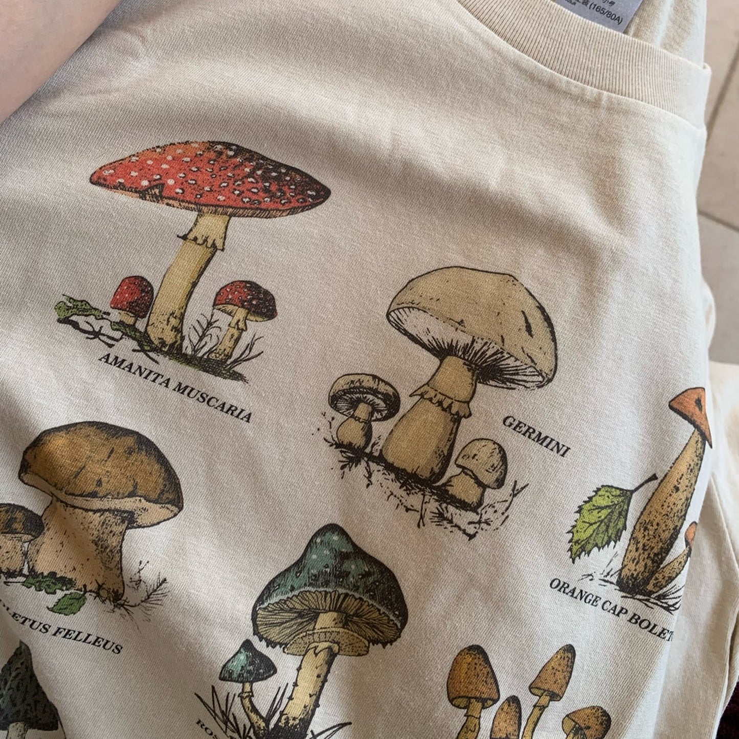 Mushroom cotton t-shirt