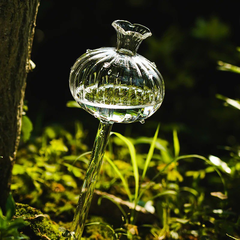 Clear Self-Watering Feeders