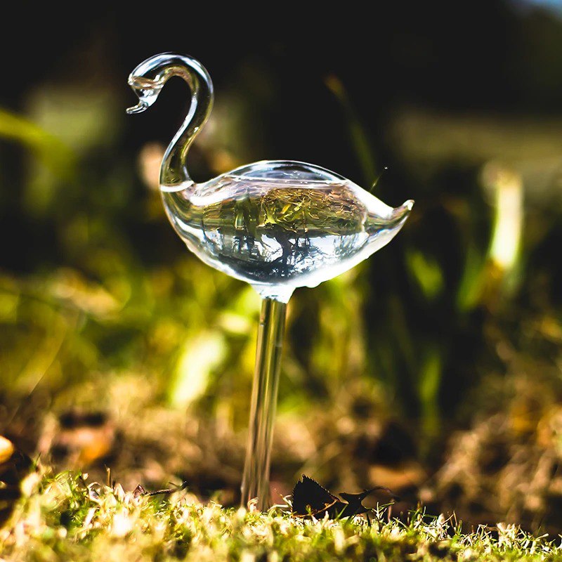 Clear Self-Watering Feeders