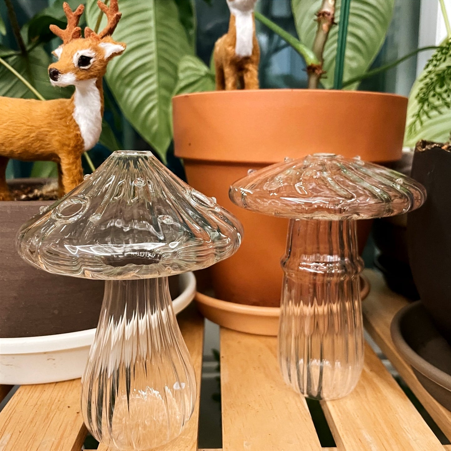 Mushroom glass vases (set of 2)